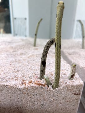 AOAO SAPPOROに投稿された画像（2025/8/9）