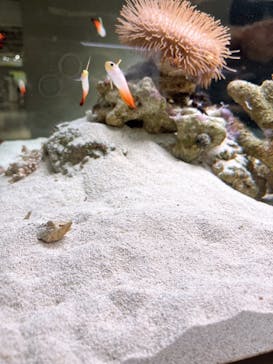 AOAO SAPPOROに投稿された画像（2025/8/9）