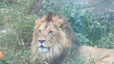 名古屋市東山動植物園に投稿された画像（2025/8/9）