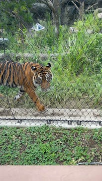 名古屋市東山動植物園に投稿された画像（2025/8/9）