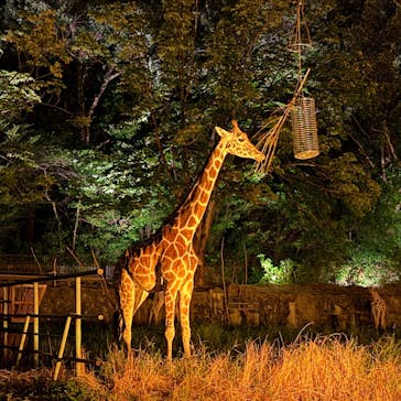 名古屋市東山動植物園に投稿された画像（2025/8/9）