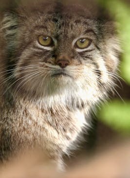 名古屋市東山動植物園に投稿された画像（2025/8/9）