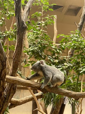 名古屋市東山動植物園に投稿された画像（2025/8/9）