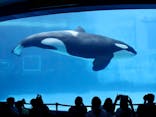 名古屋港水族館に投稿された画像（2025/8/9）