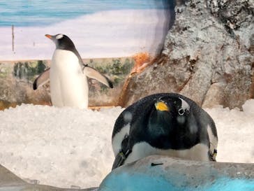 名古屋港水族館に投稿された画像（2025/8/9）