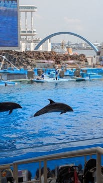 名古屋港水族館に投稿された画像（2025/8/9）