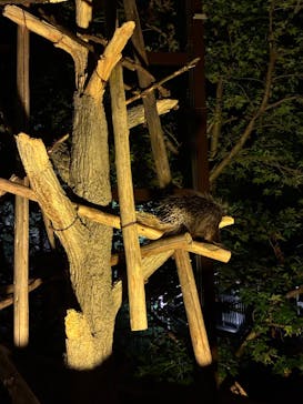 名古屋市東山動植物園に投稿された画像（2025/8/9）