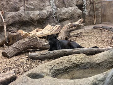 名古屋市東山動植物園に投稿された画像（2025/8/9）