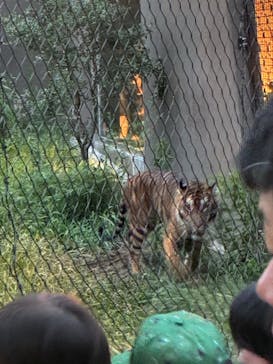 名古屋市東山動植物園に投稿された画像（2025/8/9）