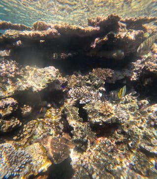 マーレ石垣島に投稿された画像（2025/8/9）