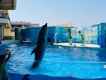 新江ノ島水族館に投稿された画像（2025/8/10）