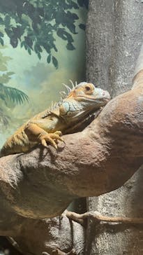 天王寺動物園に投稿された画像（2025/8/9）