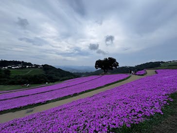 マザー牧場に投稿された画像（2025/8/9）