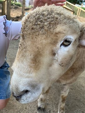 マザー牧場に投稿された画像（2025/8/9）