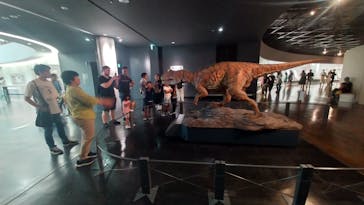 福井県立恐竜博物館に投稿された画像（2025/8/9）