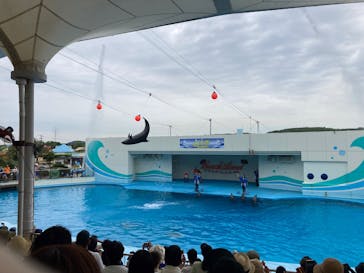 南知多ビーチランド＆南知多おもちゃ王国に投稿された画像（2025/8/9）