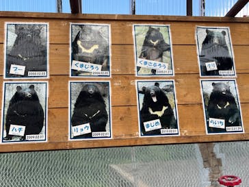 奥飛騨クマ牧場に投稿された画像（2025/8/9）