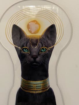 IMMERSIVE JOURNEYに投稿された画像（2025/8/9）