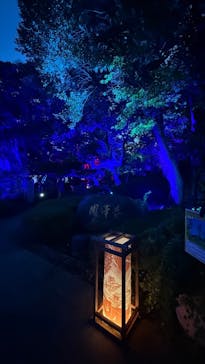 江の島1dayに投稿された画像（2025/8/9）