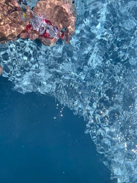 ひらかたパークに投稿された画像（2025/8/9）