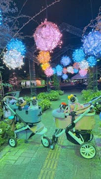 せんだい農業園芸センター　みどりの杜に投稿された画像（2025/8/9）