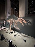 福井県立恐竜博物館に投稿された画像（2025/8/10）