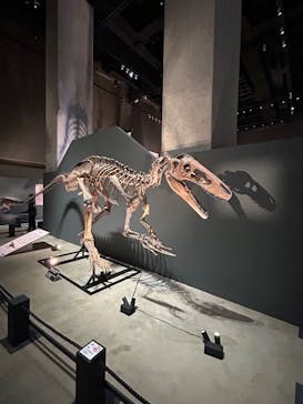 福井県立恐竜博物館に投稿された画像（2025/8/9）