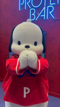 サンリオピューロランドに投稿された画像（2025/8/9）