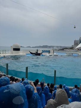 鴨川シーワールドに投稿された画像（2025/8/9）