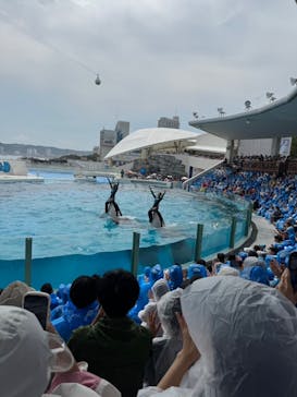 鴨川シーワールドに投稿された画像（2025/8/9）