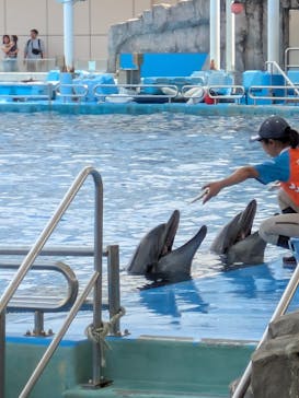 名古屋港水族館に投稿された画像（2025/8/9）