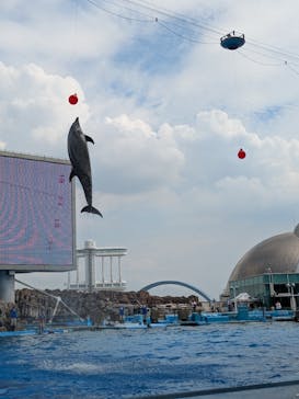 名古屋港水族館に投稿された画像（2025/8/9）