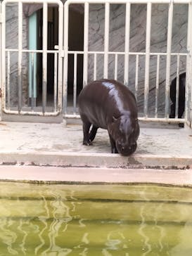名古屋市東山動植物園に投稿された画像（2025/8/10）