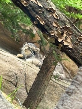 那須どうぶつ王国に投稿された画像（2025/8/10）