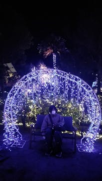 江の島シーキャンドルに投稿された画像（2025/8/10）