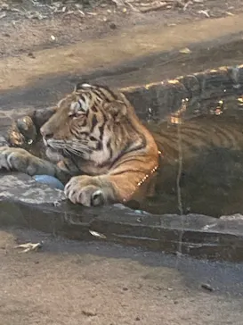 多摩動物公園に投稿された画像（2025/8/10）