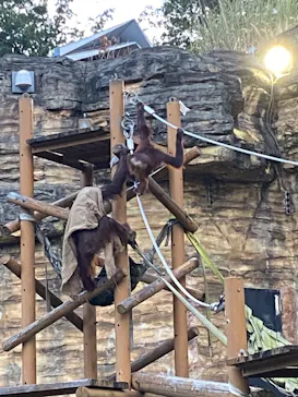 多摩動物公園に投稿された画像（2025/8/10）