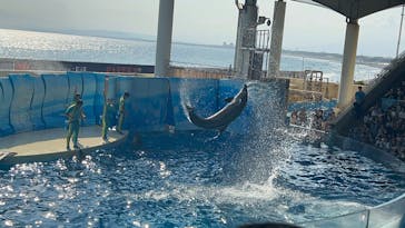 新江ノ島水族館に投稿された画像（2025/8/10）