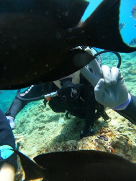 武藤潜水に投稿された画像（2025/8/10）