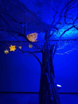 旅する光の切り絵展 ～くうそうって、まほうだよ～に投稿された画像（2025/8/10）