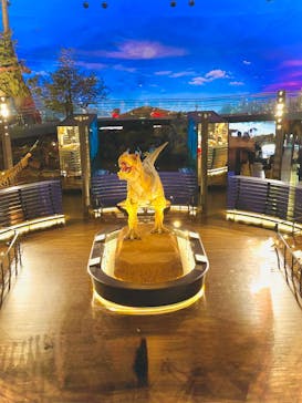 福井県立恐竜博物館に投稿された画像（2025/8/10）