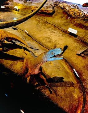 福井県立恐竜博物館に投稿された画像（2025/8/10）