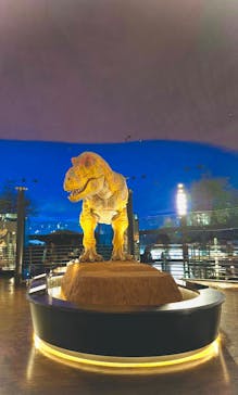 福井県立恐竜博物館に投稿された画像（2025/8/10）