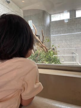 淡路ファームパーク イングランドの丘に投稿された画像（2025/8/10）