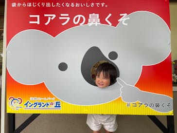 淡路ファームパーク イングランドの丘に投稿された画像（2025/8/10）