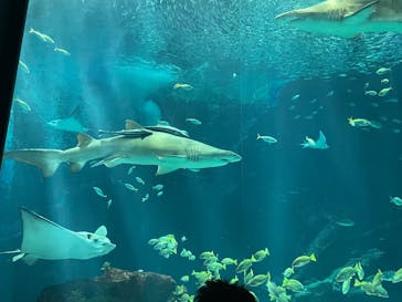 マリンワールド海の中道に投稿された画像（2025/8/10）