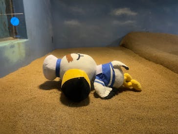 マリンワールド海の中道に投稿された画像（2025/8/10）