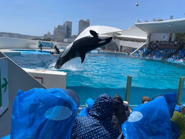 鴨川シーワールドに投稿された画像（2025/5/9）