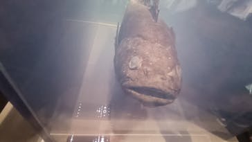 葛西臨海水族園に投稿された画像（2025/8/10）