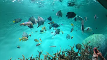 葛西臨海水族園に投稿された画像（2025/8/10）